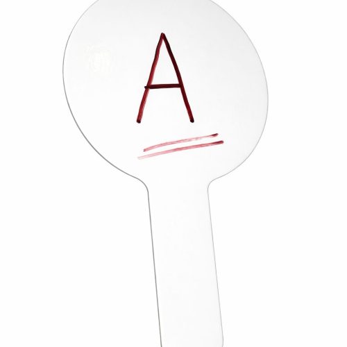 WhatsApp Image 2026-02-16 at 1.25.42 AM (1)